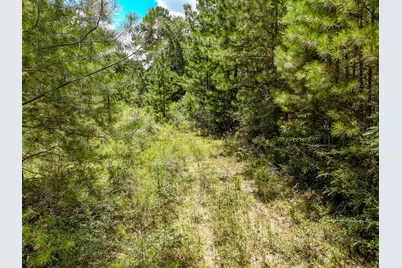 27.79 Acre County Highway 183B, Defuniak Springs, FL 32433 - Photo 9