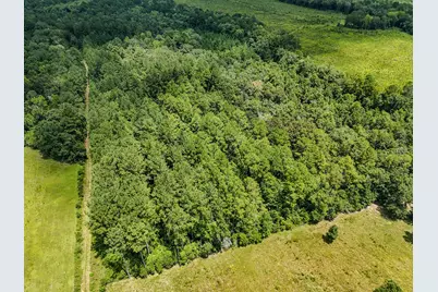 27.79 Acre County Highway 183B, Defuniak Springs, FL 32433 - Photo 21