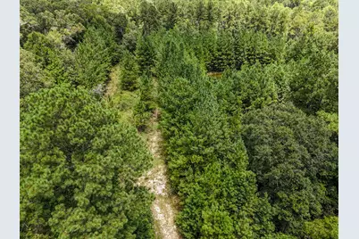 27.79 Acre County Highway 183B, Defuniak Springs, FL 32433 - Photo 17