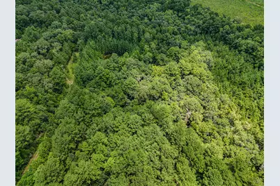 27.79 Acre County Highway 183B, Defuniak Springs, FL 32433 - Photo 15
