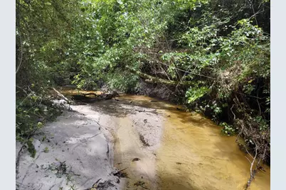 27.79 Acre County Highway 183B, Defuniak Springs, FL 32433 - Photo 1