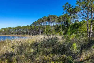 91 Pine Street, Santa Rosa Beach, FL 32459 - Photo 53