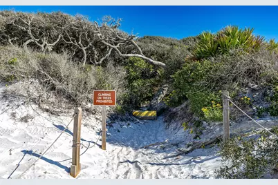 91 Pine Street, Santa Rosa Beach, FL 32459 - Photo 51