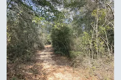0.56 Christopher Lane, Crestview, FL 32539 - Photo 3