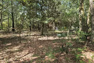 149 Nusom Dr, Defuniak Springs, FL 32433 - Photo 25