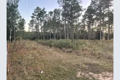 10 Eugene Court, Defuniak Springs, FL 32433 - Photo 7