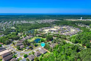 71 Leap Year Ln, Freeport, FL 32439 - Photo 57