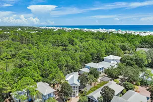 62 Dune Rosemary Ct, Santa Rosa Beach, FL 32459 - Photo 5