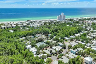 62 Dune Rosemary Ct, Santa Rosa Beach, FL 32459 - Photo 77
