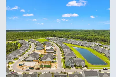 85 Bunting Lane, Inlet Beach, FL 32461 - Photo 41