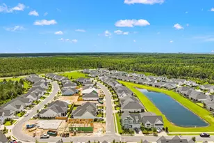 85 Bunting Ln, Inlet Beach, FL 32461 - Photo 41