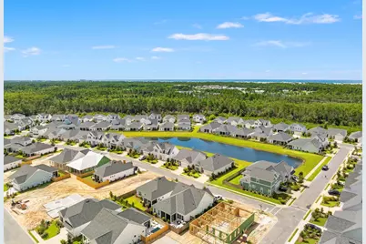 85 Bunting Lane, Inlet Beach, FL 32461 - Photo 39