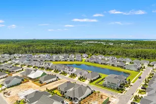 85 Bunting Ln, Inlet Beach, FL 32461 - Photo 39