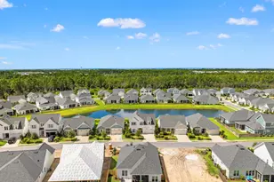 85 Bunting Ln, Inlet Beach, FL 32461 - Photo 37