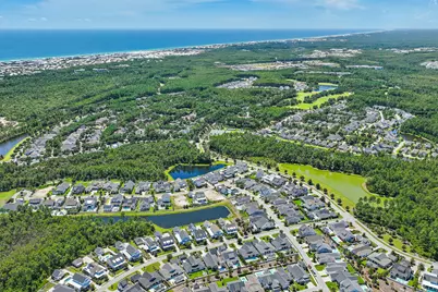145 Catface Drive, Inlet Beach, FL 32461 - Photo 51
