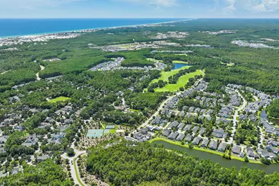 145 Catface Drive, Inlet Beach, FL 32461 - Photo 53