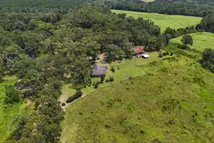 1446 Tara Cylebrico Rd, Westville, FL 32464 - Photo 39