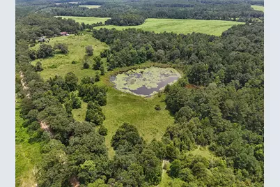1446 Tara Cylebrico Road, Westville, FL 32464 - Photo 41