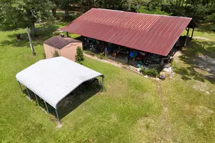 1446 Tara Cylebrico Rd, Westville, FL 32464 - Photo 33