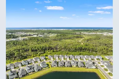 202 Suwannee Drive, Inlet Beach, FL 32461 - Photo 39