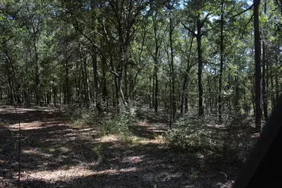 Xxx 32 Ac. Aplin Road, Crestview, FL 32539 - Photo 5
