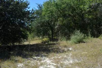 Xxx 32 Ac. Aplin Road, Crestview, FL 32539 - Photo 15