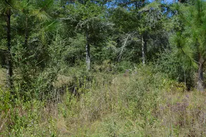 Xxx 32 Ac. Aplin Road, Crestview, FL 32539 - Photo 11