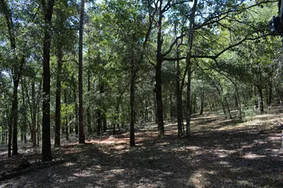 Xxx 32 Ac. Aplin Road, Crestview, FL 32539 - Photo 7