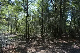 Xxx 32 Ac Aplin Rd, Crestview, FL 32539 - Photo 1