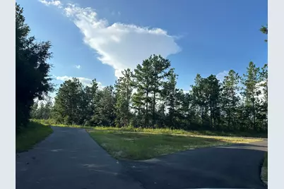 A1 Stewart Road, Baker, FL 32531 - Photo 3