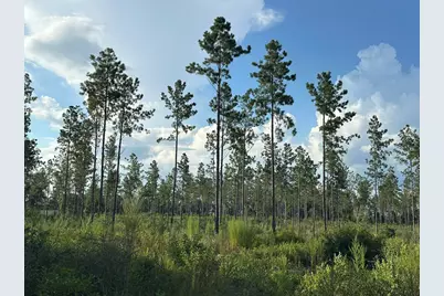B1 Yellow River Baptist Church Road #B1, Baker, FL 32531 - Photo 11