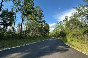 B1 Yellow River Baptist Church Rd, Baker, FL 32531 - Photo 1