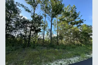 B1 Yellow River Baptist Church Road #B1, Baker, FL 32531 - Photo 7