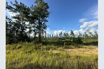 C1 Yellow River Baptist Ch Road #C-1, Baker, FL 32531 - Photo 3