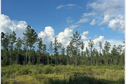 C1 Yellow River Baptist Ch Road #C-1, Baker, FL 32531 - Photo 11