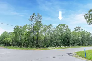 Lot 8 Oakwood Lakes Blvd, Defuniak Springs, FL 32433 - Photo 1