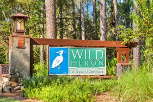 2120 Wild Heron Way, Panama City Beach, FL 32413 - Photo 59