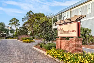 170 W Okeechobee, Santa Rosa Beach, FL 32459 - Photo 53