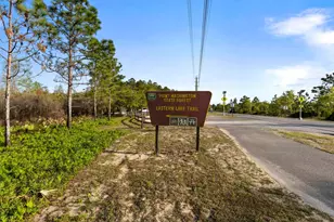 330 Channel Shl Dr, Santa Rosa Beach, FL 32459 - Photo 41