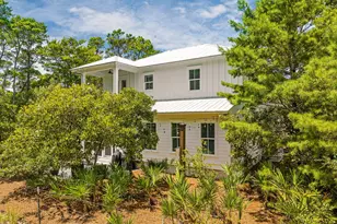 339 Matt's Way, Santa Rosa Beach, FL 32459 - Photo 41