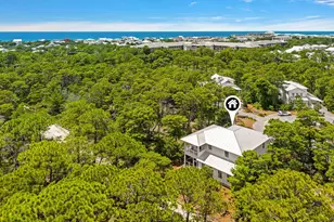 339 Matt's Way, Santa Rosa Beach, FL 32459 - Photo 41