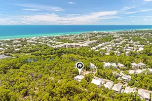 339 Matt's Way, Santa Rosa Beach, FL 32459 - Photo 51