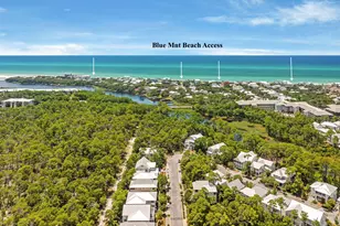 339 Matt's Way, Santa Rosa Beach, FL 32459 - Photo 3