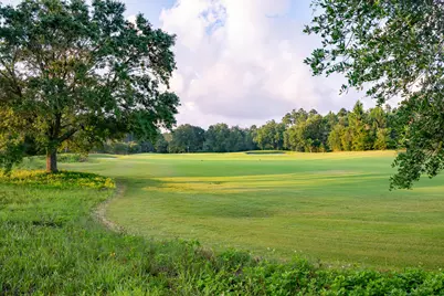 96 Pollard Cove West #Lot 39, Watersound, FL 32461 - Photo 45