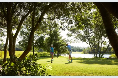 Tbd Pollard Cove West #Lot 35, Watersound, FL 32461 - Photo 41