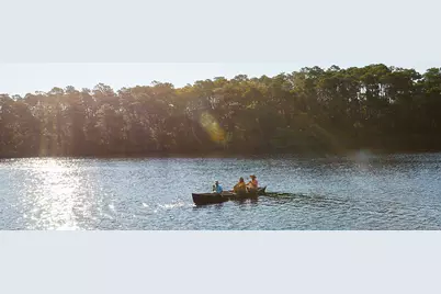 Tbd Pollard Cove West #Lot 35, Watersound, FL 32461 - Photo 43