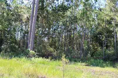 Lots 3 & 4 Monks Lane, Santa Rosa Beach, FL 32459 - Photo 31