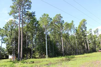 Lots 3 & 4 Monks Lane, Santa Rosa Beach, FL 32459 - Photo 21