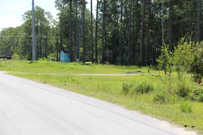Lots 3 & 4 Monks Lane, Santa Rosa Beach, FL 32459 - Photo 5