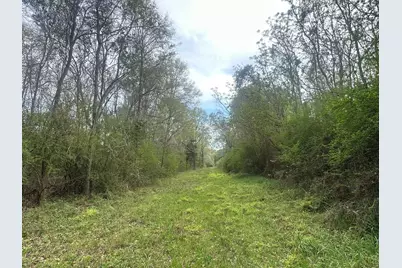 10+/- Ac Vinson Ray Road, Baker, FL 32531 - Photo 1